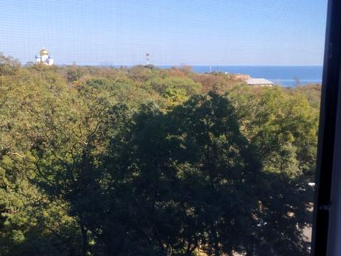 квартира по адресу Дача Ковалевского ул., 91