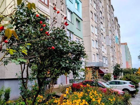 квартира по адресу Мицкевича ул., 9а