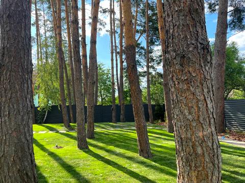 будинок за адресою Хвойки