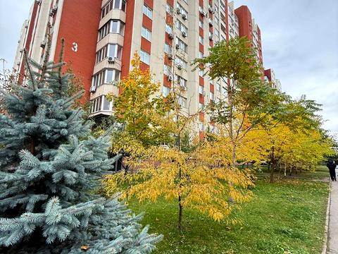 коммерческая по адресу Кадетский Гай ул., 3