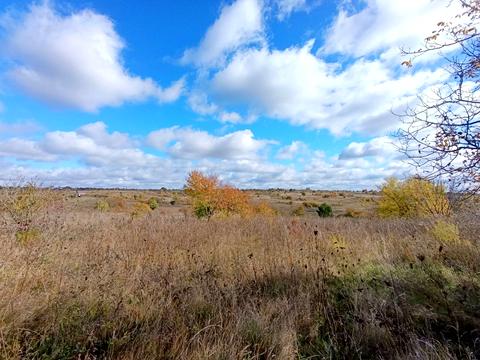 ділянка за адресою СК Іскра