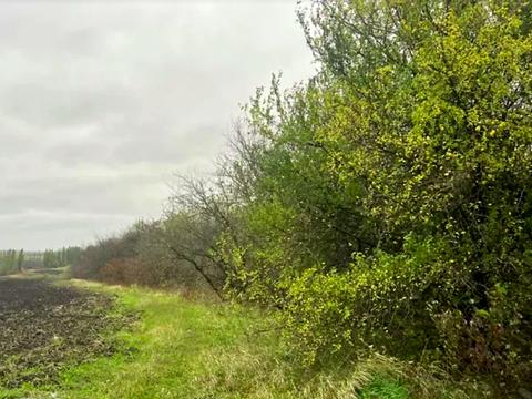 ділянка за адресою Яблунева, 13