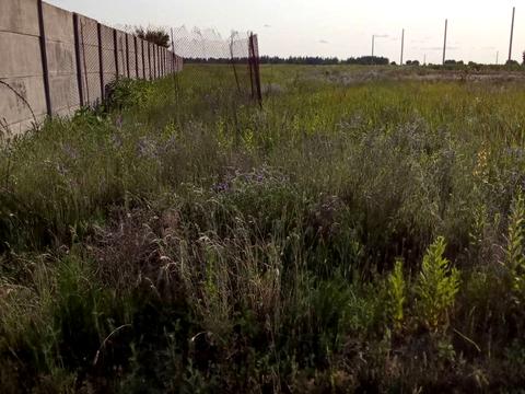 участок по адресу 