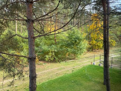 будинок за адресою Лісова