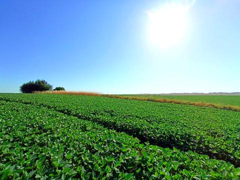 ділянка за адресою Хмельницький, Вінницька об'їзна М30