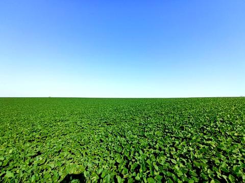 участок по адресу Вінницька об'їзна М30