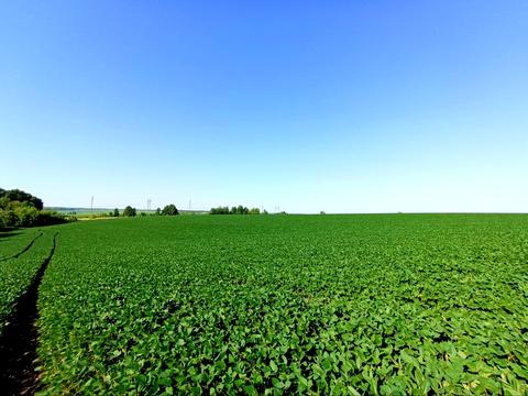 участок по адресу Вінницька об'їзна М30