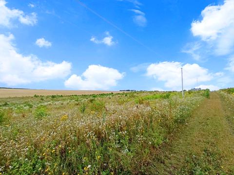 ділянка за адресою Ковальська