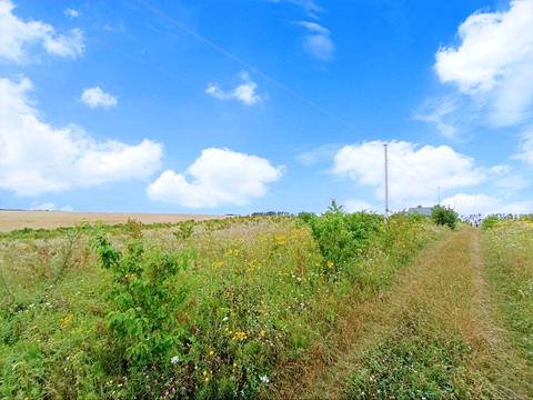 ділянка за адресою Ковальська, 59