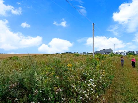 ділянка за адресою Ковальська, 59