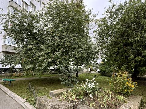 квартира за адресою Феодосійська вул., 4