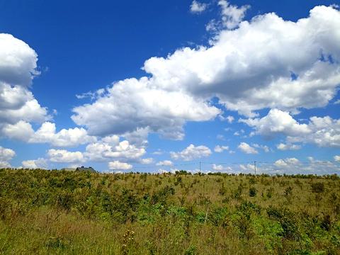 ділянка за адресою Ковальська, 65