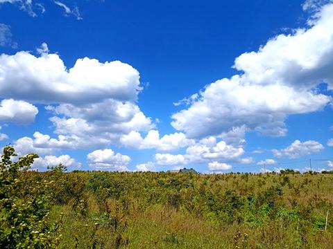 ділянка за адресою Ковальська, 66