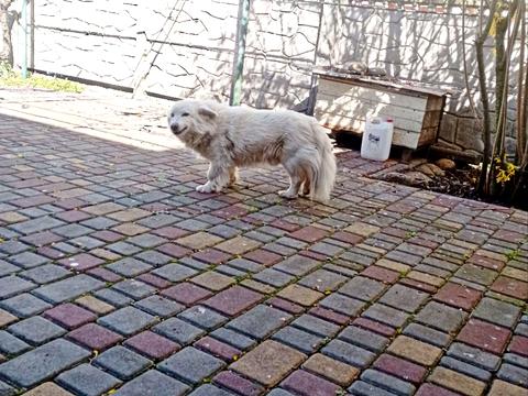 будинок за адресою с. Фонтанка, Одеська вул.