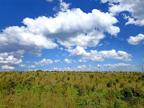 ділянка за адресою Ковальська, 67