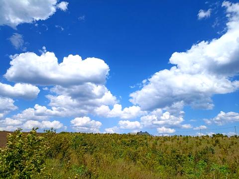 ділянка за адресою Ковальська, 69