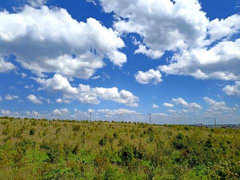 ділянка за адресою Ковальська, 71