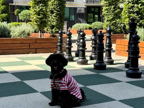 квартира за адресою Героїв Небесної Сотні просп., 16/10