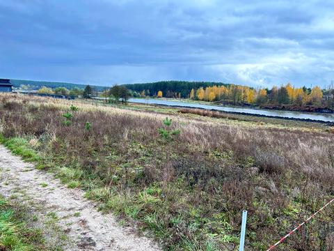 ділянка за адресою Шевченка, 9