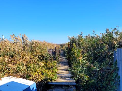 дом по адресу 1 линия