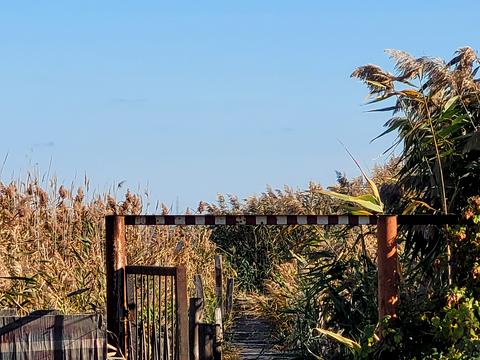 дом по адресу 1 линия