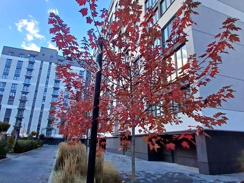 квартира по адресу Александра Довженко ул., 31