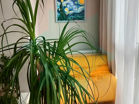 квартира за адресою Дніпро, Набережна Перемоги вул., 42