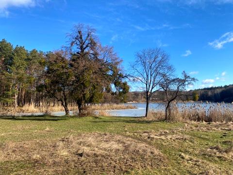 ділянка за адресою Шевченка