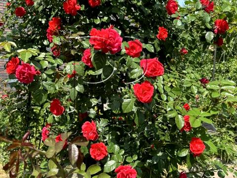 дом по адресу Октябрьская ул. (Жовтнева)