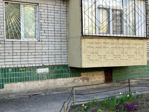 квартира по адресу Новгородская ул. (Новгородская), 222