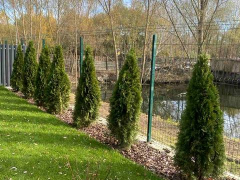 дом по адресу Академіка Шалімова ул., 30