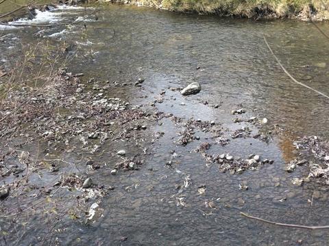 будинок за адресою Заріччя