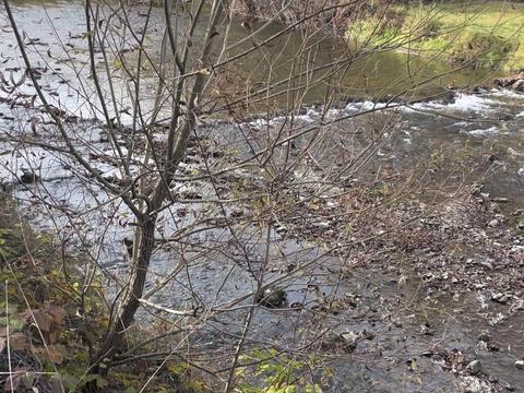 будинок за адресою Заріччя