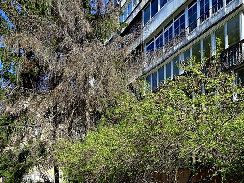 квартира за адресою Київ, Шовковична вул., 29