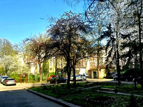 квартира за адресою Київ, Шовковична вул., 29