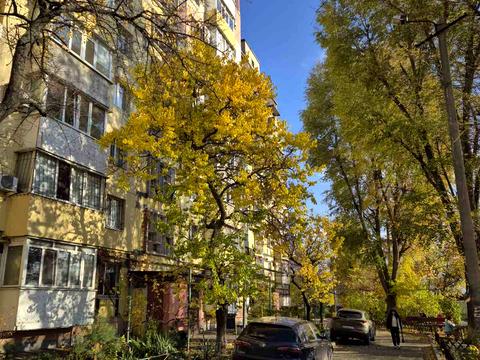 квартира за адресою Терещенківська вул. (Червоного Козацтва), 2