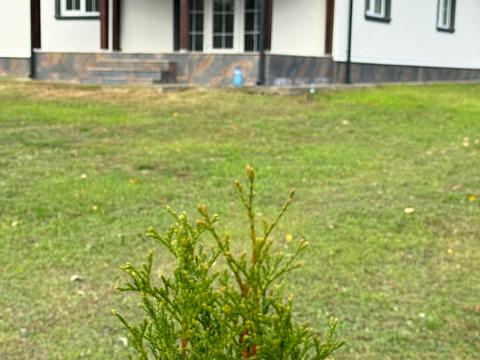 будинок за адресою Веселкова вул.