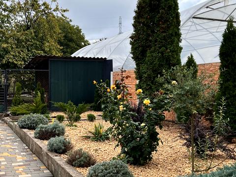 будинок за адресою Лисенко, 44