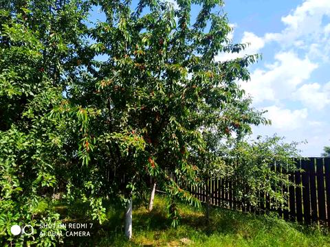 будинок за адресою Котляревського вул.
