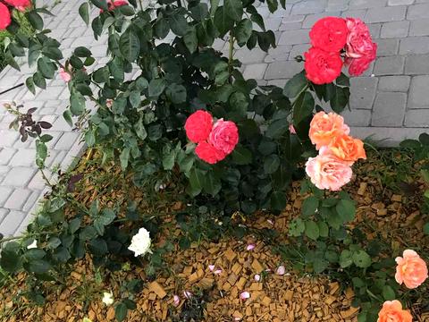 будинок за адресою Котляревського вул.