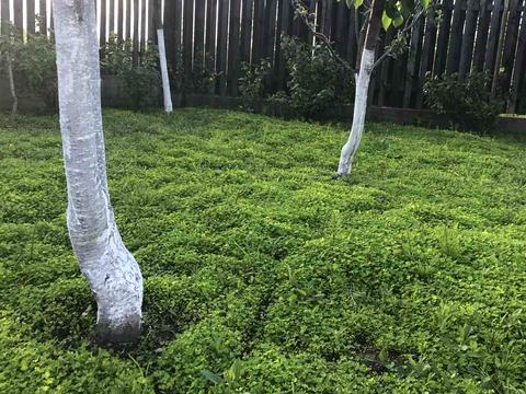 будинок за адресою Котляревського вул.