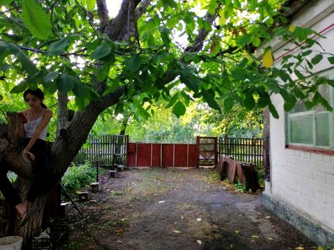 будинок за адресою Василівська, 5