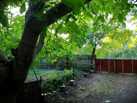 будинок за адресою Василівська, 5