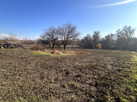 будинок за адресою Василівська, 5