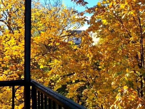 квартира за адресою Єреванська вул., 17