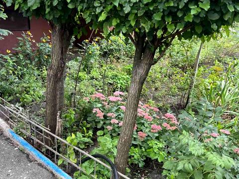 квартира за адресою Лариси Руденко вул., 10-Г