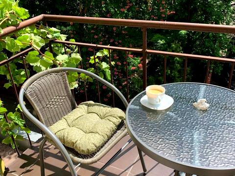 квартира за адресою Гетьмана Павла Скоропадського вул. (Льва Толстого), 43