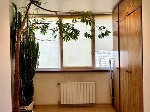 квартира по адресу Иорданская ул. (Лайоша Гавро), 11-Д