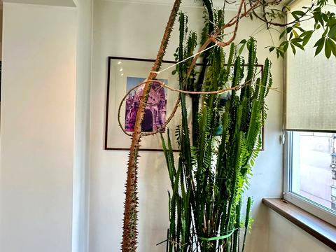 квартира по адресу Иорданская ул. (Лайоша Гавро), 11-Д