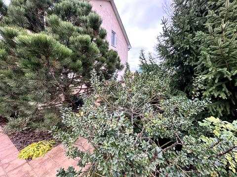 будинок за адресою Єлизавети Чавдар вул.